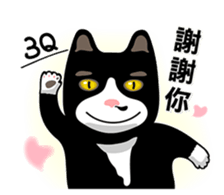 Bibi cat have a runny nose. One sticker #12973336