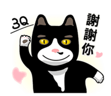 Bibi cat have a runny nose. One sticker #12973336