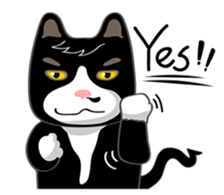 Bibi cat have a runny nose. One sticker #12973337