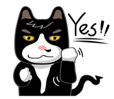 Bibi cat have a runny nose. One sticker #12973337