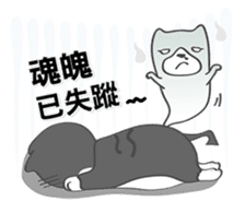Bibi cat have a runny nose. One sticker #12973341