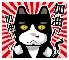 Bibi cat have a runny nose. One sticker #12973342
