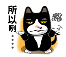 Bibi cat have a runny nose. One sticker #12973343