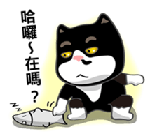 Bibi cat have a runny nose. One sticker #12973345