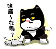 Bibi cat have a runny nose. One sticker #12973345