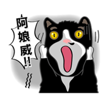 Bibi cat have a runny nose. One sticker #12973347