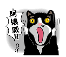 Bibi cat have a runny nose. One sticker #12973347