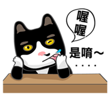 Bibi cat have a runny nose. One sticker #12973348