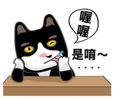 Bibi cat have a runny nose. One sticker #12973348