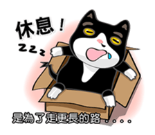 Bibi cat have a runny nose. One sticker #12973349