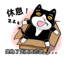 Bibi cat have a runny nose. One sticker #12973349