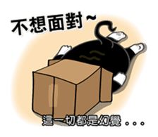 Bibi cat have a runny nose. One sticker #12973350