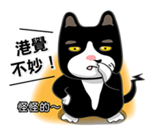 Bibi cat have a runny nose. One sticker #12973354