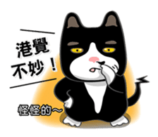 Bibi cat have a runny nose. One sticker #12973354