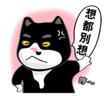 Bibi cat have a runny nose. One sticker #12973357