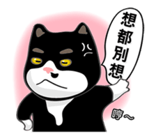 Bibi cat have a runny nose. One sticker #12973357