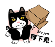 Bibi cat have a runny nose. One sticker #12973361