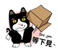 Bibi cat have a runny nose. One sticker #12973361