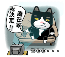 Bibi cat have a runny nose. One sticker #12973362