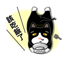 Bibi cat have a runny nose. One sticker #12973363