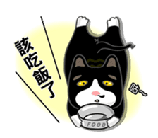 Bibi cat have a runny nose. One sticker #12973363