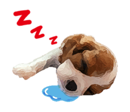 Cavalier King Charles Spaniel-nami sticker #12973890