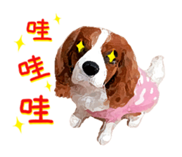 Cavalier King Charles Spaniel-nami sticker #12973892