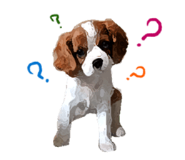 Cavalier King Charles Spaniel-nami sticker #12973894