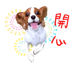 Cavalier King Charles Spaniel-nami sticker #12973895