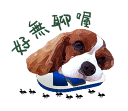 Cavalier King Charles Spaniel-nami sticker #12973898