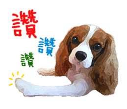 Cavalier King Charles Spaniel-nami sticker #12973899