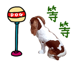 Cavalier King Charles Spaniel-nami sticker #12973903
