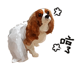 Cavalier King Charles Spaniel-nami sticker #12973906