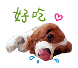 Cavalier King Charles Spaniel-nami sticker #12973907