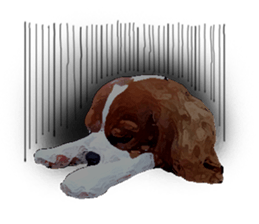 Cavalier King Charles Spaniel-nami sticker #12973908