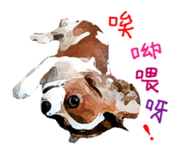 Cavalier King Charles Spaniel-nami sticker #12973909