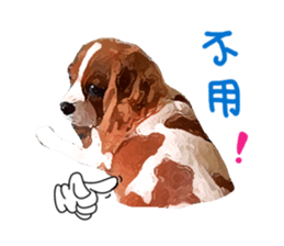 Cavalier King Charles Spaniel-nami sticker #12973910