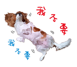 Cavalier King Charles Spaniel-nami sticker #12973912