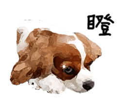 Cavalier King Charles Spaniel-nami sticker #12973914