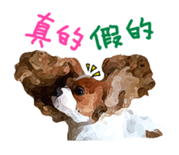 Cavalier King Charles Spaniel-nami sticker #12973915