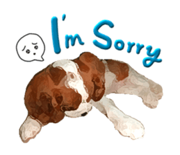 Cavalier King Charles Spaniel-nami sticker #12973917