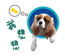 Cavalier King Charles Spaniel-nami sticker #12973920