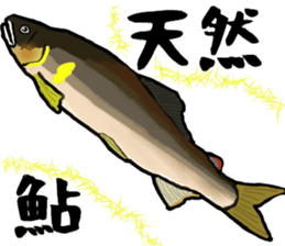 ayu fishday Sticker2 sticker #12974454
