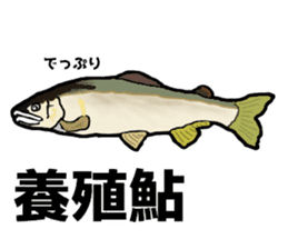 ayu fishday Sticker2 sticker #12974455