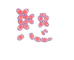 PunPun Sticker sticker #12975413