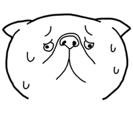 Exotic Shorthair Sticker sticker #12977738