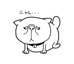 Exotic Shorthair Sticker sticker #12977741