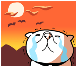 Exotic Shorthair Sticker sticker #12977742