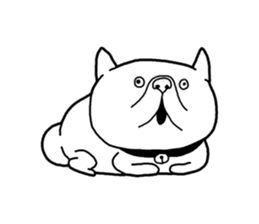 Exotic Shorthair Sticker sticker #12977744