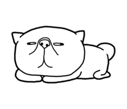 Exotic Shorthair Sticker sticker #12977745